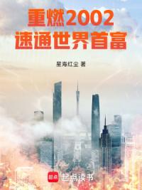 重燃2002速通世界首富