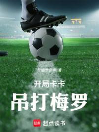 开局卡卡，吊打梅罗