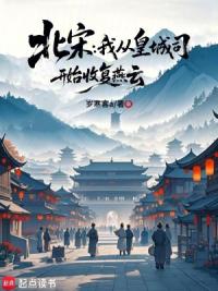 北宋：我从皇城司开始收复燕云